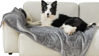 Produktbild von BESTCOVERS 100% Wasserdichte Doppelseitige Schondecke 75 x 100cm für Körbchen, Möbel oder Autositz Hundedecke Waschbar GRAU