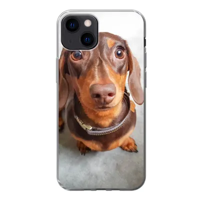 Produktbild von MuchoWow® Handyhülle Schutzhülle Hülle für iPhone 13 Nahaufnahme des Kopfes eines Dackels Silikon Softcase Handy Hülle - Karteninhaber