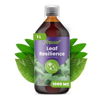 Produktbild von Leaf Resilience Konzentrat 1 L – 1000 m2 – Pflanzliches Blattpflege-Konzentrat Für Essbare Und Zierpflanzen – Frassor