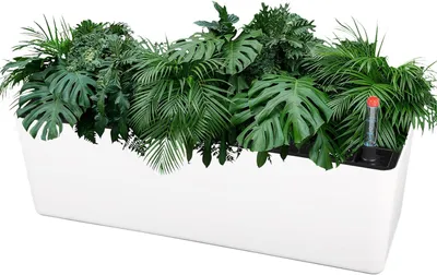 Produktbild von Blumentopf rechteckig, selbstreißend, mit Wasserstandsanzeige, für Garten