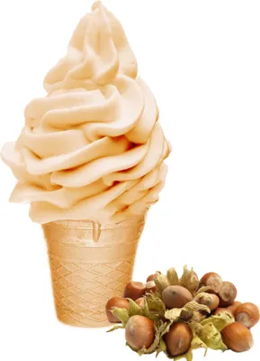 Zdjęcie produktu dla Miękkie lody z orzechów laskowych w proszku 1 kg