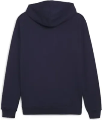 Productafbeelding van Puma teamGOAL Casuals hoodie