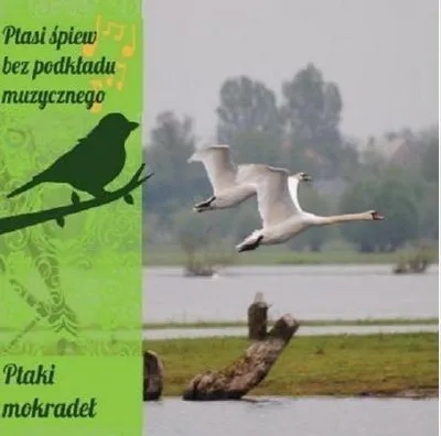 Productafbeelding van Vogelgezang zonder achtergrondmuziek. CD met geluiden van moerasvogels