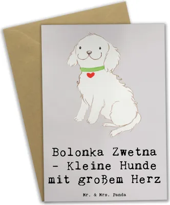 Produktbild von Mr. & Mrs. Panda spruchkarte Bolonka Zwetna Herz - Grau Pastell - Geschenk, Hunderassen Charakter, liebenswürdige Hunde, vatertagskarte, einladungskarten, treue Begleiter