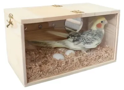 Obrázek produktu pro Dřevěný domeček pro ptáky, vhodný do zahrady i na balkon