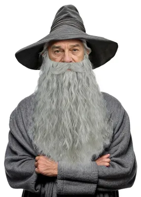 Immagine prodotto di Barba finta lunga e riccia per uomo