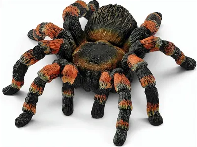 Produktbild von Schleich® Wild Life 14829 Vogelspinne Spielfigur