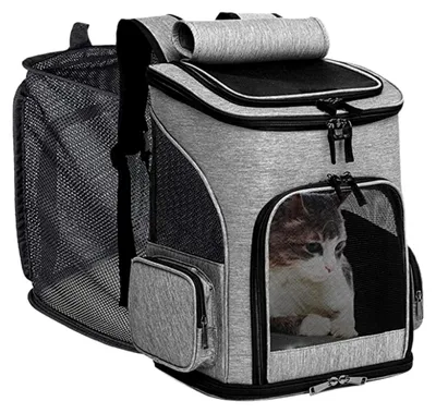 Produktbild von Große Katzen-Transportbox – erweiterbar, tragbar, faltbar, Tragetasche für Reisen, Tierarztbesuche und Flugreisen