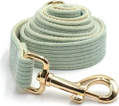Image de Laisse pour chien White-Tea