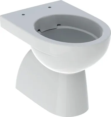 Immagine prodotto di Geberit Renova WC a pavimento con scarico a caduta, bianco Rimfree, scarico verticale, parzialmente chiuso, 1 pz.