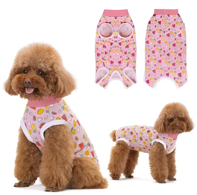 Produktbild von Erholungsanzug für Hunde, weicher chirurgischer Body zum Wundschutz