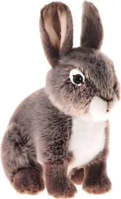 Immagine prodotto di Peluche - Coniglio dello zoo