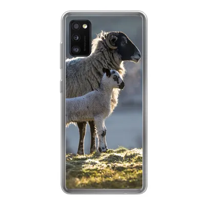 Produktbild von MuchoWow® Handyhülle Schutzhülle Hülle für Samsung Galaxy A41 Schaf - Lamm - Sonne Silikon Softcase Handy Hülle - Mobiltelefon