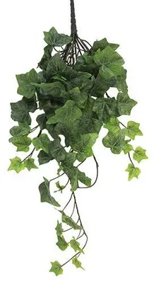 Productafbeelding van Frosted Ivy Chicago hanger 46 cm kunsthangplant Erutan Avon