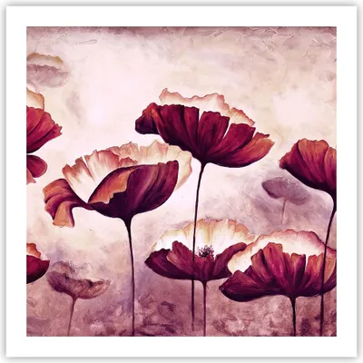 Produktbild von Poster - Poster ohne Rahmen - Mohn Blume Wiese - 60x60 cm - Wand Bild - Wanddeko - Wandbilder - Kunstposter - Wandposter - Bilder - Kunstdruck - Wanddekoration - Wandbild - P2XAC60x60-3934