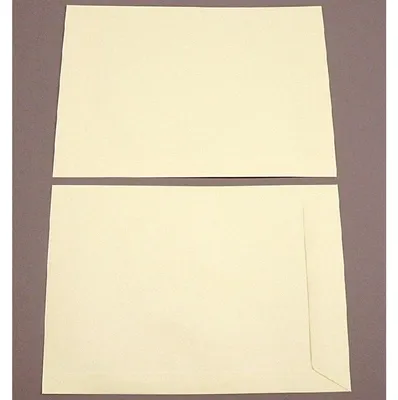 Produktbild von Versandtaschen 220x312mm 120g/qm gummiert VE=100 Stück champagner