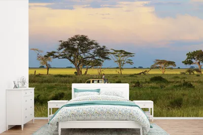 Produktbild von MuchoWow® Fototapete für Wohnzimmer oder Schlafzimmer Wandtapete Vinyl Motivtapete Fahrt im Safari-Auto durch den Serengeti-Nationalpark in Afrika - 600x400 cm - Vinyltapeten