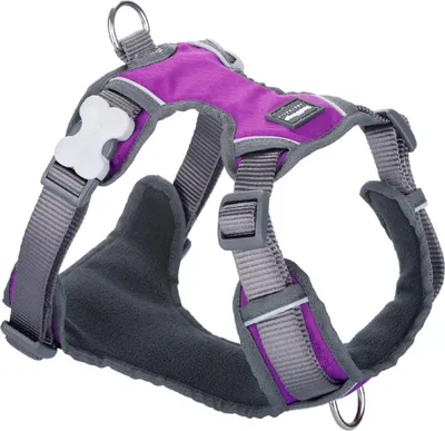 Imagen del producto de Arnés para perro, marca Dingo, color morado, talla L, para perros de 47-73 cm y 56-80 cm