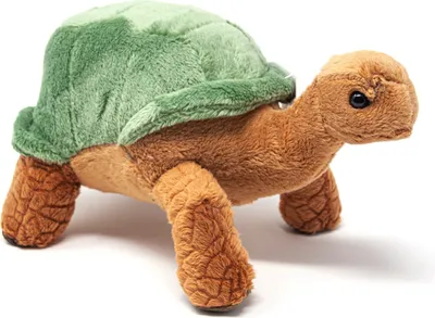 Image de Cornelissen - Doudou - Tortue verte - 20 cm