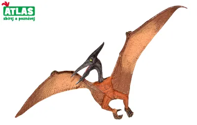 Zdjęcie produktu dla C - Dino Pteranodon Figurka 22 cm