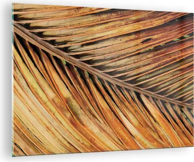 Produktbild von Bilder auf glas - Einteilig - Orange Blatt Tropisch - 70x50cm - Glasbilder - Wandbilder - Bilder - zum Aufhängen bereit - Wanddekoration aus Glas - Glas Bilder - Wandbild auf Glas - GAA70x50-4876