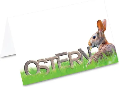 Produktbild von PRICARO Tischkarten "Osterhase Feld", 50 Stück