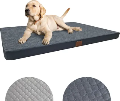 A dog lying on a dog bed.