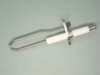 Image de Électrode Allum + joint 0295165