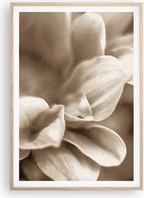 Produktbild von Gerahmtes Poster - Rahmen in heller Eiche - Blumen Boho ohne - 70x100 cm - Wand Bild - Wanddeko - Wandbilder - Kunstposter - Wandposter - Bilderrahmen - Bilder - Kunstdruck - P2NPA70x100-4767