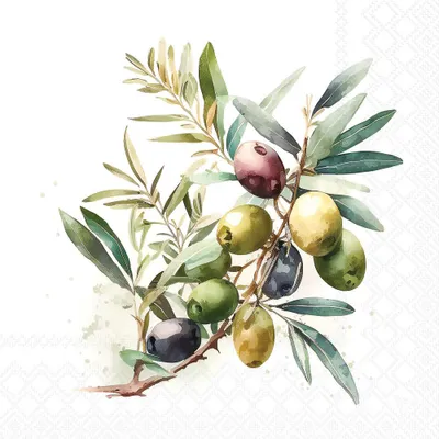 Produktbild von Servietten 33x33 cm - Olive branch