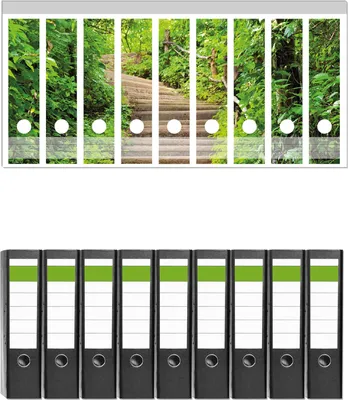 Produktbild von Wallario 9 Stück breite Ordner inkl. Klebeetiketten mit Motive Steintreppe im Wald -  Set mit Rückenschildern / Ordnerrücken Stickern