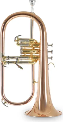Produktbild von Roy Benson FH-302G Flügelhorn