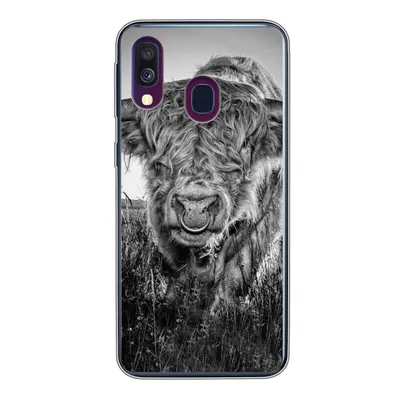 Produktbild von MuchoWow® Handyhülle Schutzhülle Hülle für Samsung Galaxy A40 Schottischer Highlander - Schwarz und Weiß Silikon Softcase Handy Hülle - Handy-Tasche