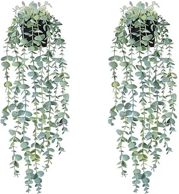 Immagine prodotto di Piante rampicanti in plastica per la decorazione delle pareti