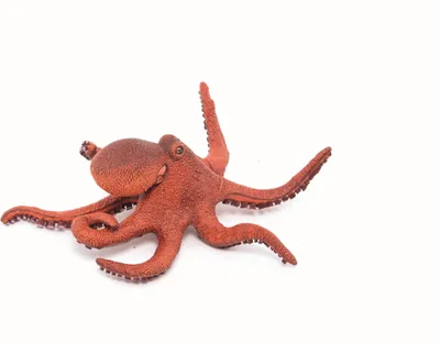 Produktbild von Figur „Junger Oktopus“ von Papo