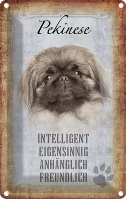 Produktbild von vianmo Blechschild 30x20 cm Pekinese Hund Tier Haustier