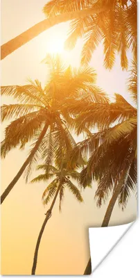 Produktbild von MuchoWow® Poster Palme - Sonne - Sommer - Tropisch 20x40 cm - Plakat - Foto