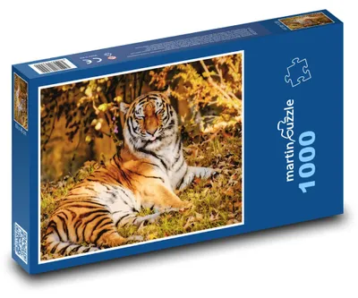 Obrázek produktu pro martinpuzzle - Puzzle 1000 - Spící tygr