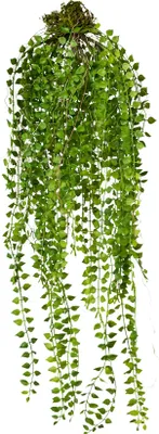 Produktbild von Gasper COLUMNEA Künstliche Dekopflanze als Hängepflanze, grün, 70 cm lang
