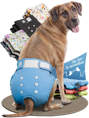 Produktbild von HUND IST KÖNIG Windeln für Hündinnen [3 Stk], XL (Taille 66-83 cm), saugstarke Windeln, 3-Fach justierbar für festen Sitz bei Läufigkeit & Inkontinenz