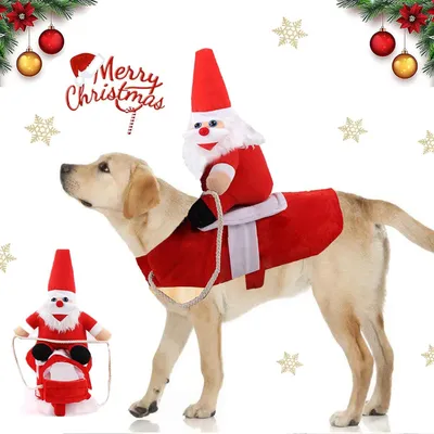Image de Costume de Noël pour chiens, animaux de compagnie, chien, chat, vêtements de Noël, costume de Père Noël pour chien, vêtements de Noël, vêtements pour animaux de compagnie pour Noël, fête, anniversaire (M)