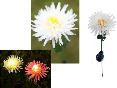 Zdjęcie produktu dla Lampka  2Szt. Solarna Kwiat Led Chryzantema 40 Cm | Nt2156