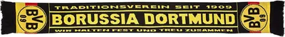 Produktbild von BVB Schal