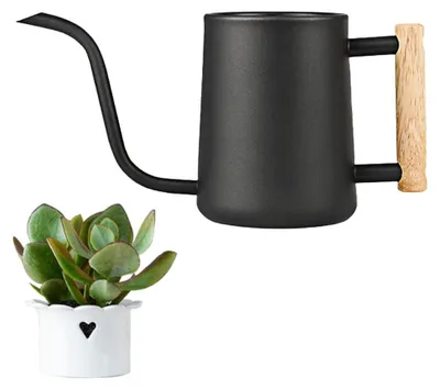 Immagine prodotto di Vaso di legno più grande, ideale per piante da fiore