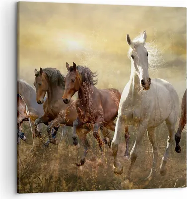 Produktbild von Bild auf Leinwand - Leinwandbild - Pferd Tier Natur - 50x50cm - Wand Bild - Wanddeko - Wandbilder - Leinwanddruck - Bilder - Kunstdruck - Wanddekoration - Leinwand bilder - Wandkunst - AC50x50-3640