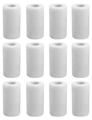 Productafbeelding van Zelfklevende Hechtingsband 12 Rollen 10 cm x 4.5 m