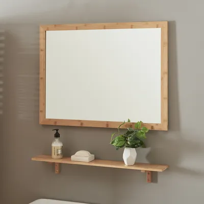 A bathroom mirror with a shelf below it, holding a soap dispenser, a bar of soap, and a small potted plant.