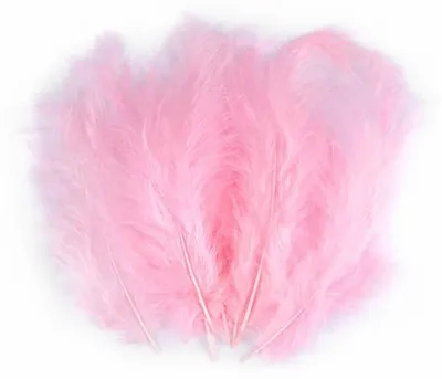Immagine prodotto di Piume decorative Piume di struzzo rosa antico 9-16 cm