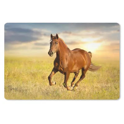 Produktbild von MuchoWow® Schreibtischunterlage Pferd - Sonne - Gras - Tier 60x40 cm - XXL Mauspad - Großes Mauspad