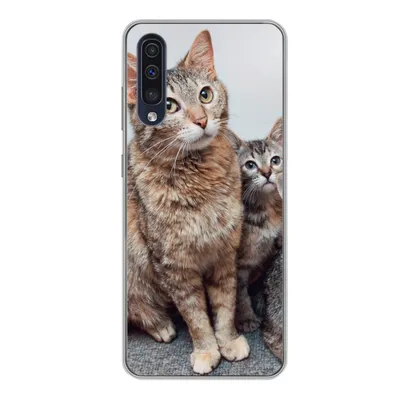 Produktbild von MuchoWow® Handyhülle Schutzhülle Hülle für Samsung Galaxy A50 Katze - Kätzchen - Fell Silikon Softcase Handy Hülle - Mobiltelefonhülle